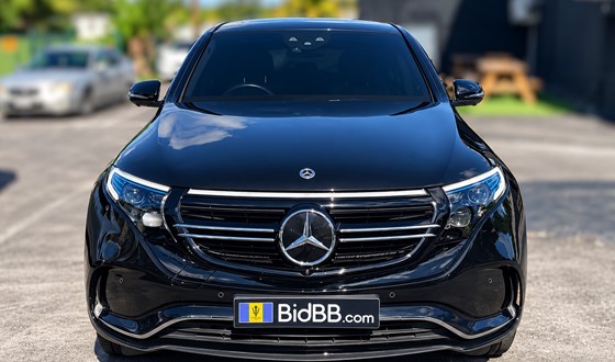 103 E02 Mercedes Eqc Eqc Straight Front