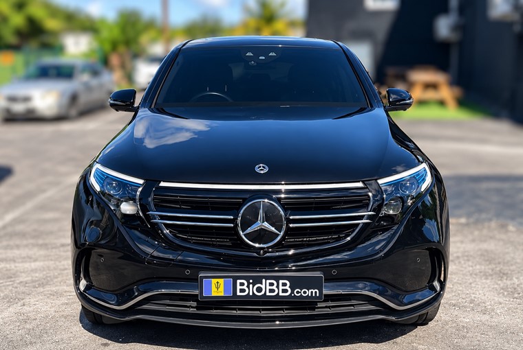 103 E02 Mercedes Eqc Eqc Straight Front